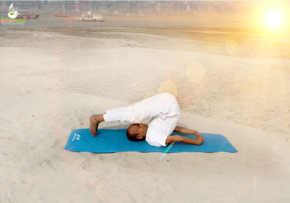 Halasana