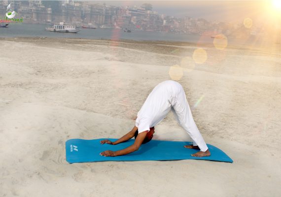 Adhomukha Svanasana