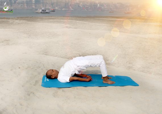 Setubandha Sarvangasana